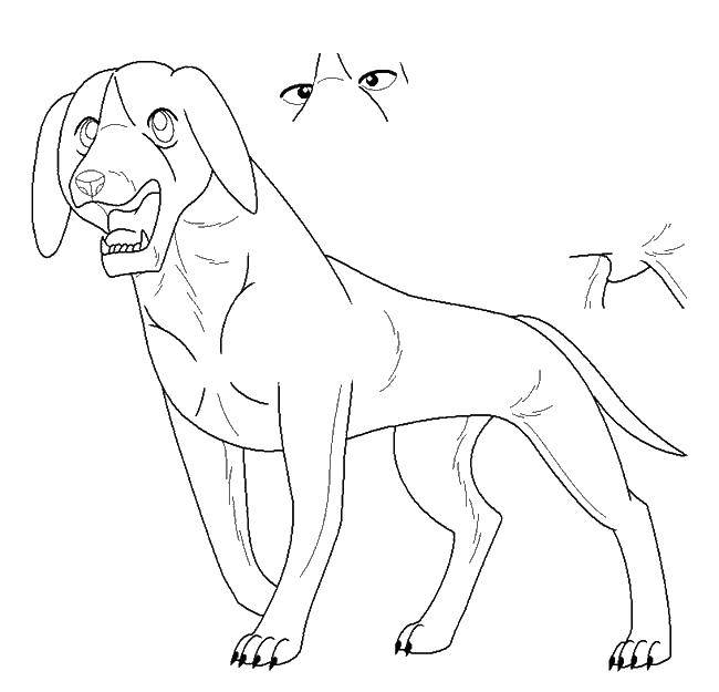 Coloring Learn to draw a dog. Category the contours of the dog. Tags:  the dog, loop.