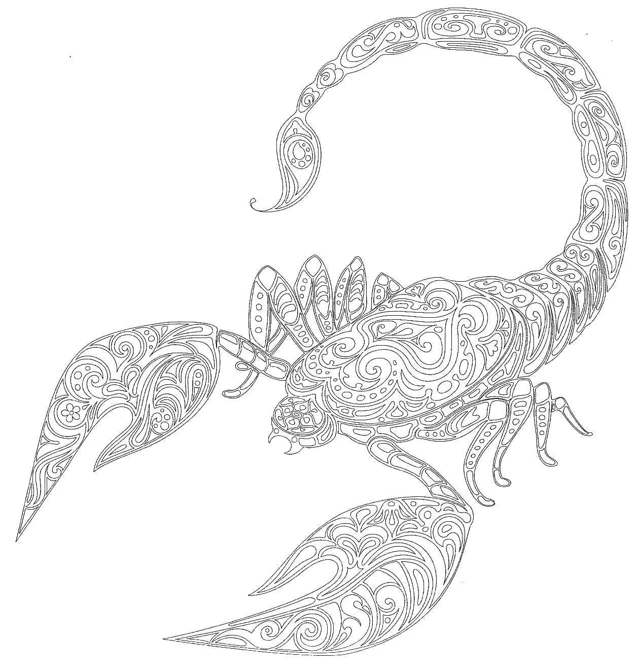 Название: Раскраска Узорный скорпион. Категория: узоры. Теги: Узоры, животные.