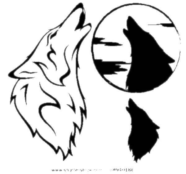 Название: Раскраска Воющий волк. Категория: волк. Теги: животные, волк, вой.