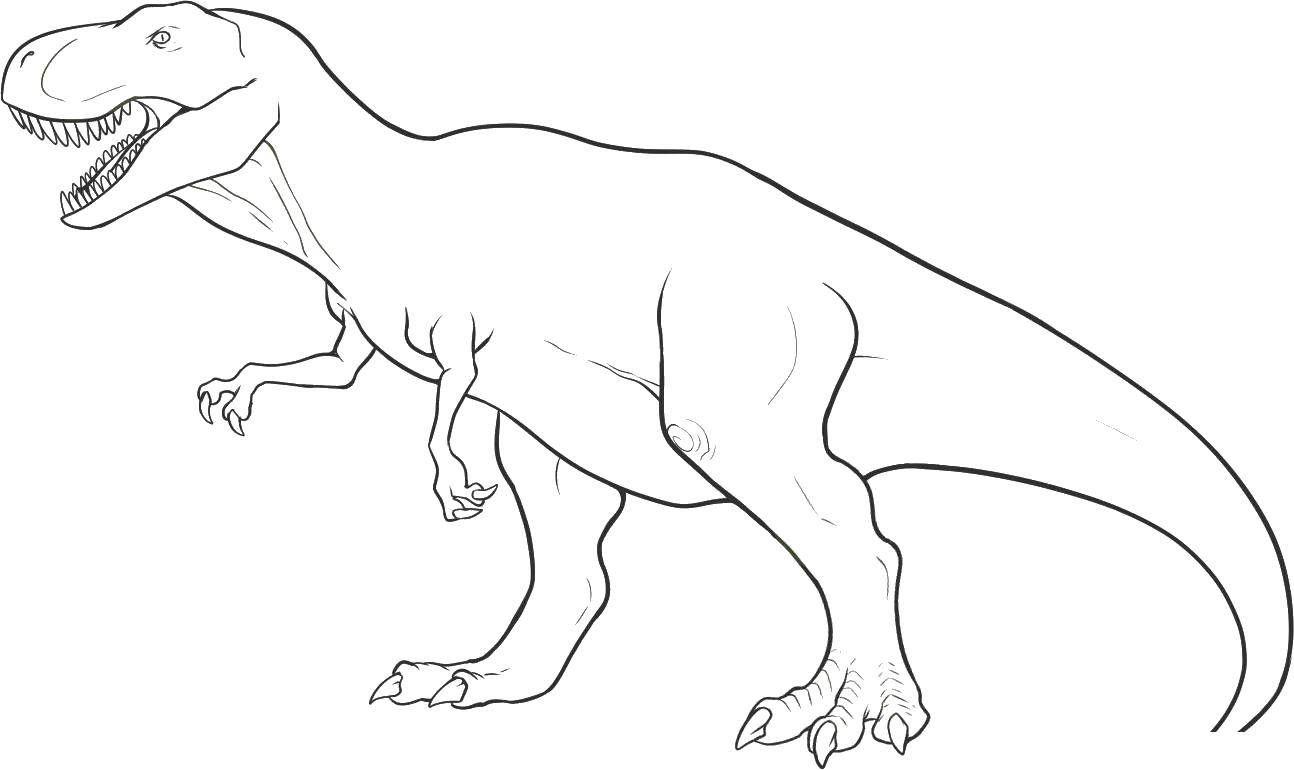 Название: Раскраска Злобный тираннозавр. Категория: парк юрского периода. Теги: Динозавры, тираннозавр.
