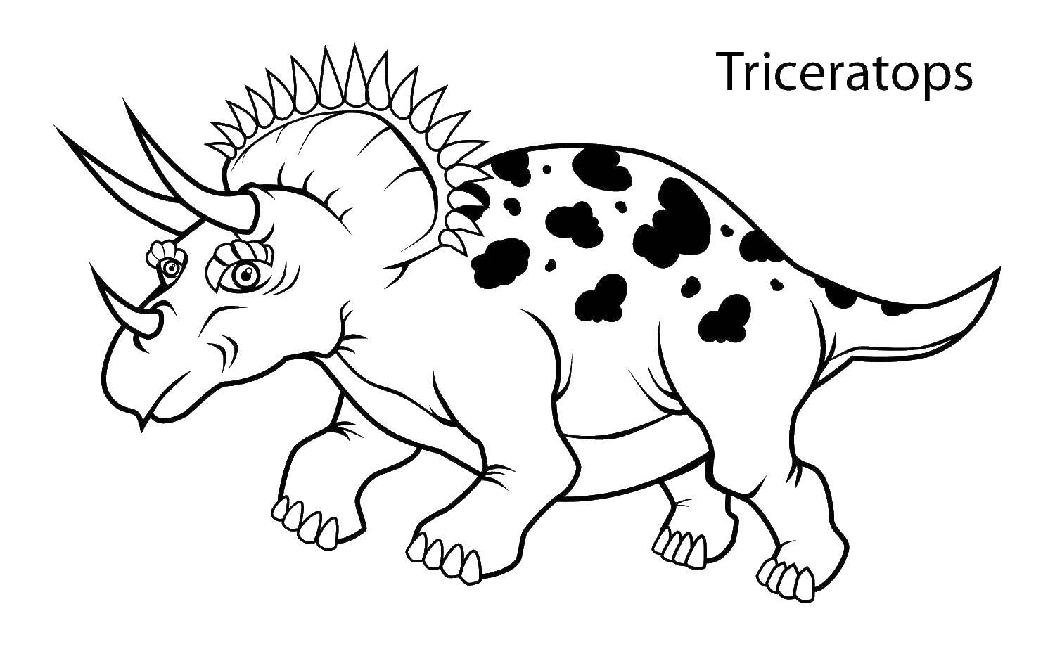 Розмальовки  Динозавр трицератопс.. Завантажити розмальовку динозаври, трицератопс.  Роздрукувати ,динозавр,