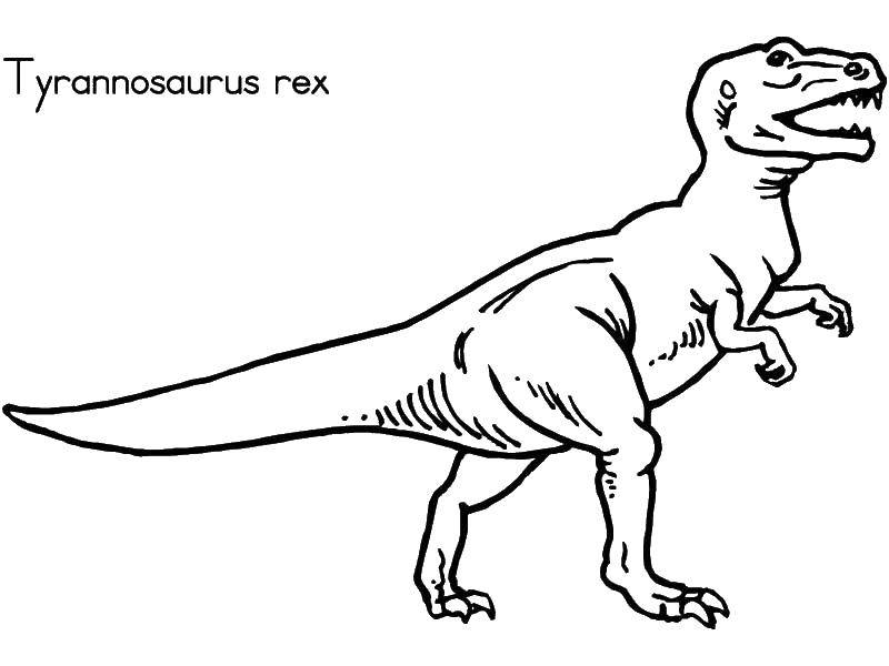 Розмальовки  Тиранозавр рекс. Завантажити розмальовку динозавр, Тиранозавр.  Роздрукувати ,динозавр,