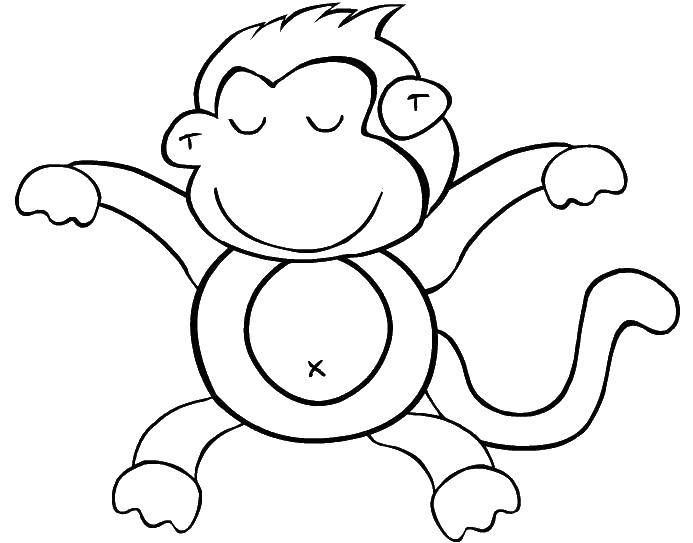 Розмальовки  Умиротворена мавпочка. Завантажити розмальовку тварини, мавпа, мавпа.  Роздрукувати ,Тварини,