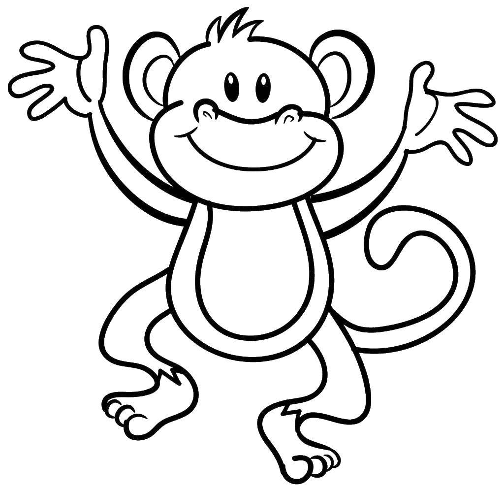 Розмальовки  Весела мавпочка. Завантажити розмальовку тварини, мавпа, мавпа, мавпа.  Роздрукувати ,Тварини,