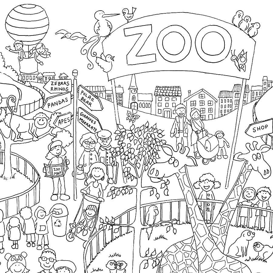 Coloring A large zoo .. Category Zoo. Tags:  Zoo, animals.