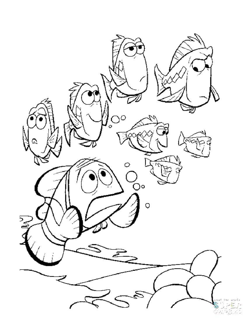Coloring Friends of Nemo. Category Disney coloring pages. Tags:  Cartoon character.