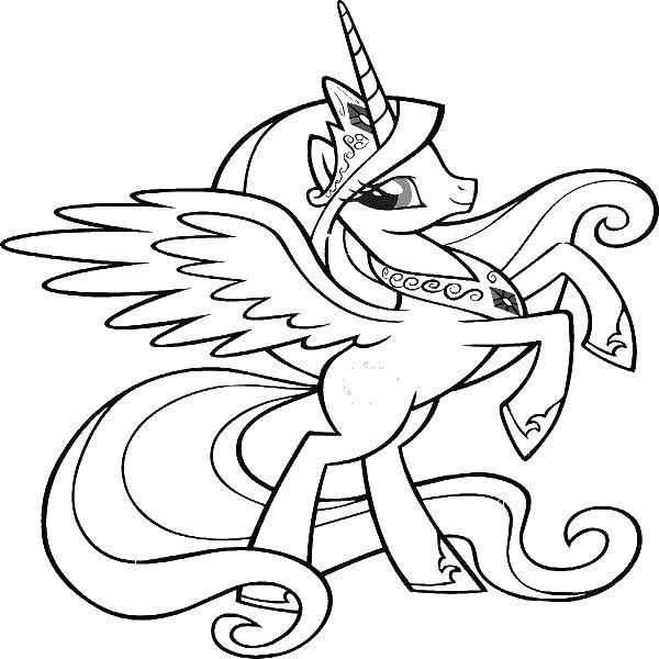 Название: Раскраска Единорог с крыльями. Категория: мой маленький пони. Теги: мой маленький пони, единорог, лошадки.