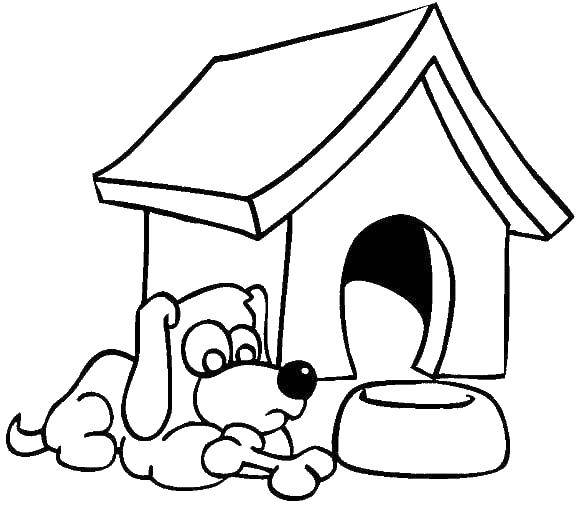 Название: Раскраска Грустный пёс у будочки. Категория: Собака и будка. Теги: Животные, собака.