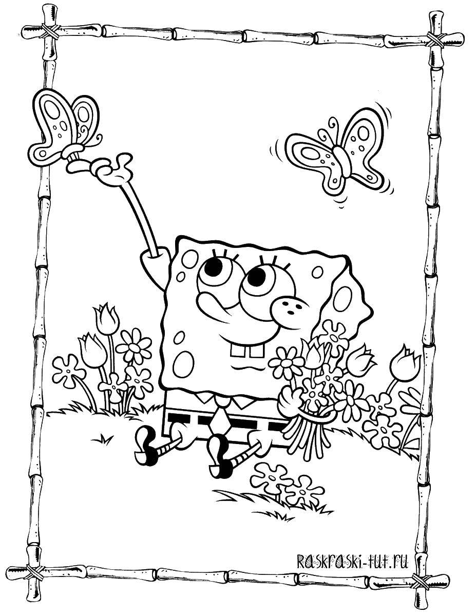 Coloring Spongebob loves butterflies. Category spongebob. Tags:  Cartoon character, spongebob, spongebob.