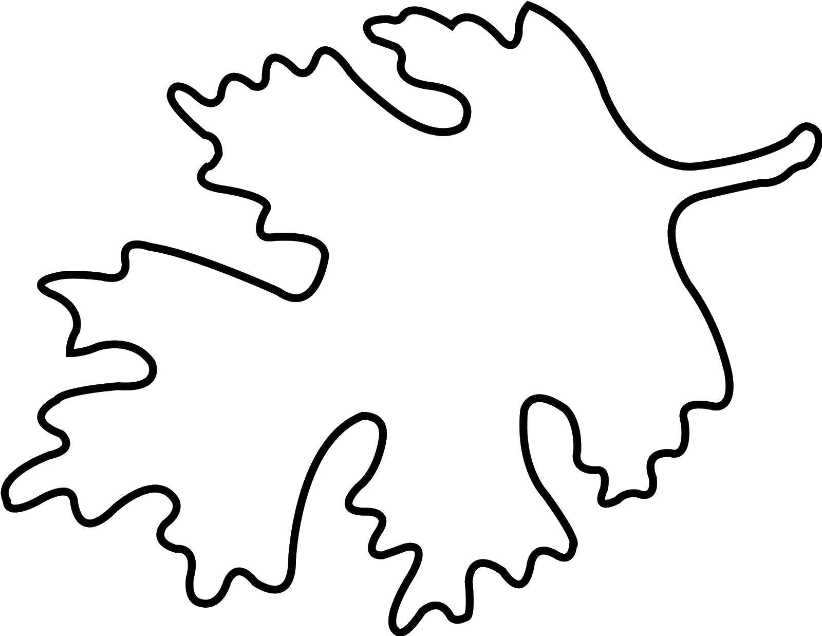 Coloring Outline oak leaf. Category The contours of the leaves of the trees. Tags:  Outline .