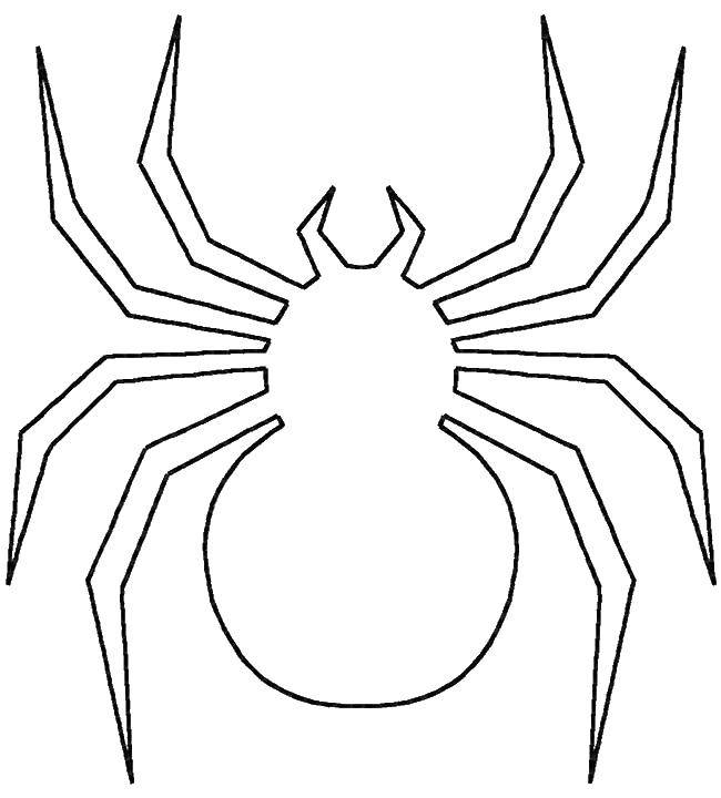 Название: Раскраска Контур паучка. Категория: Контур паук. Теги: Насекомые, паук.