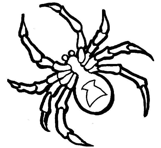 Название: Раскраска Контуры паука. Категория: Контур паук. Теги: контуры, шаблоны, пауки.