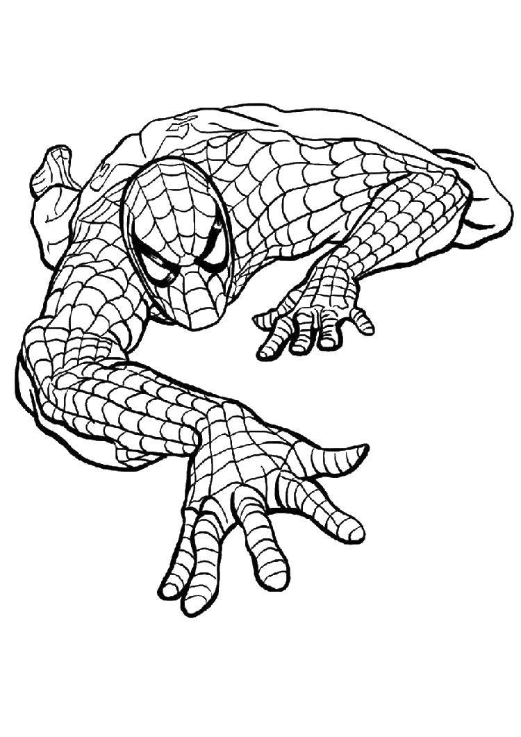 Coloring Crouching spider. Category Comics. Tags:  Comics, Spider-Man, Spider-Man.