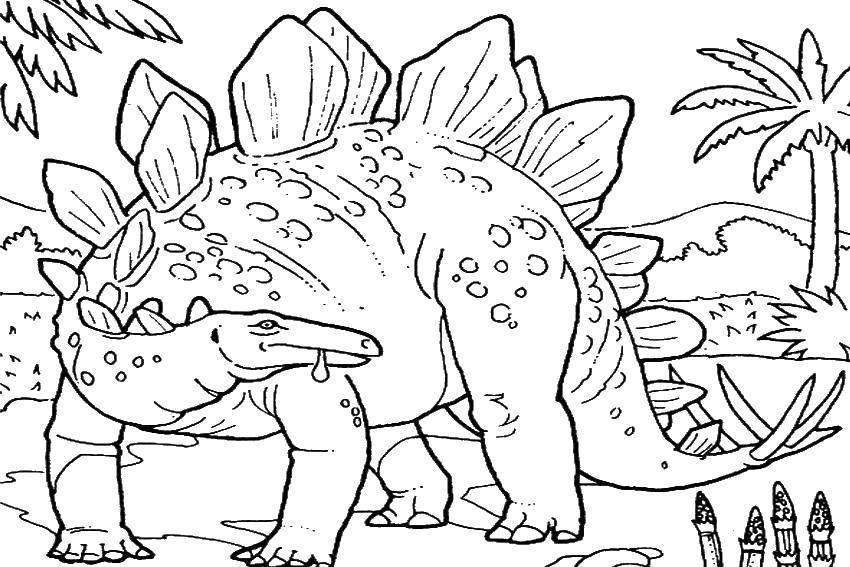 Coloring Large dinosaur. Category dinosaur. Tags:  dinosaur, nature.