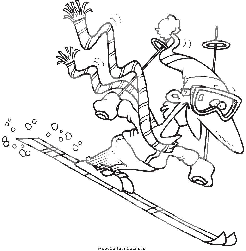 Название: Раскраска Лыжник на лыжах. Категория: лыжи. Теги: лыжи, лыжник.