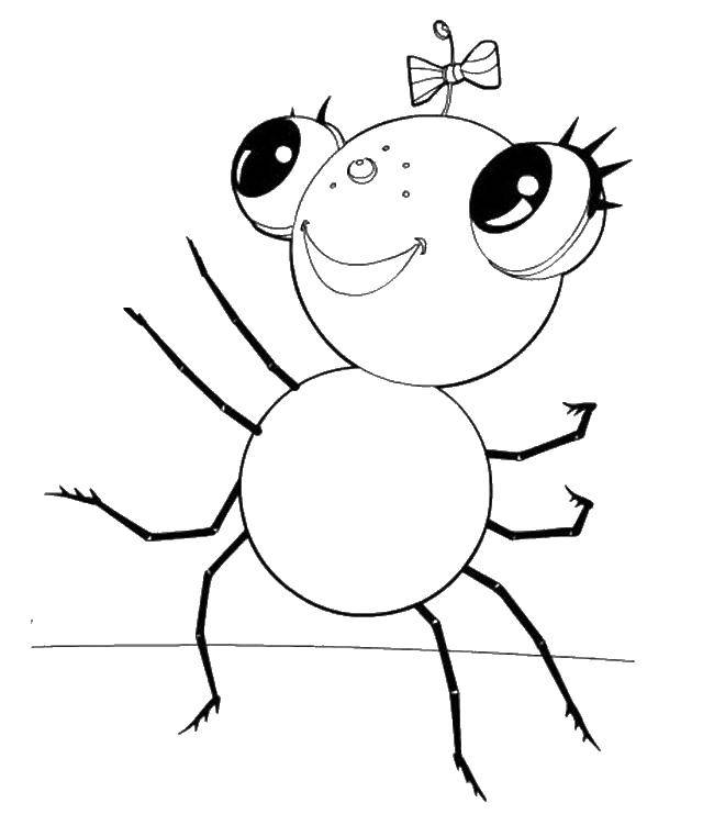 Coloring Small spider with a bow. Category spiders. Tags:  spider, spiders.