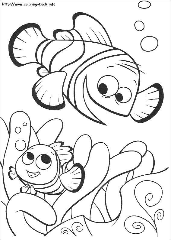 Coloring Little Nemo. Category Disney coloring pages. Tags:  Cartoon character.