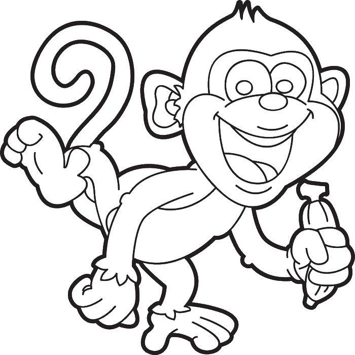 Название: Раскраска Мартышка с бананом. Категория: Животные. Теги: животные, обезьяна, обезьянка.