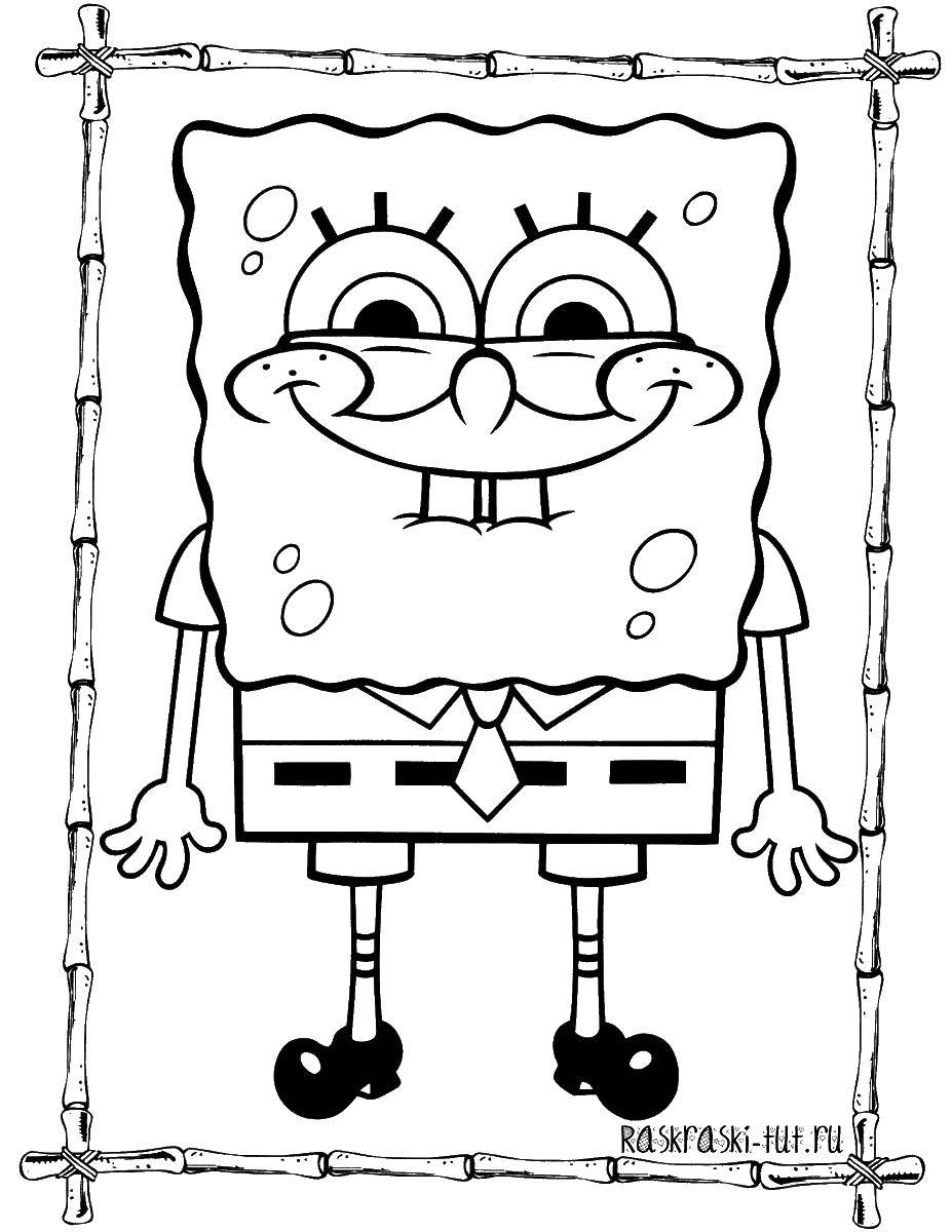 Coloring Cute Bob. Category spongebob. Tags:  Cartoon character.