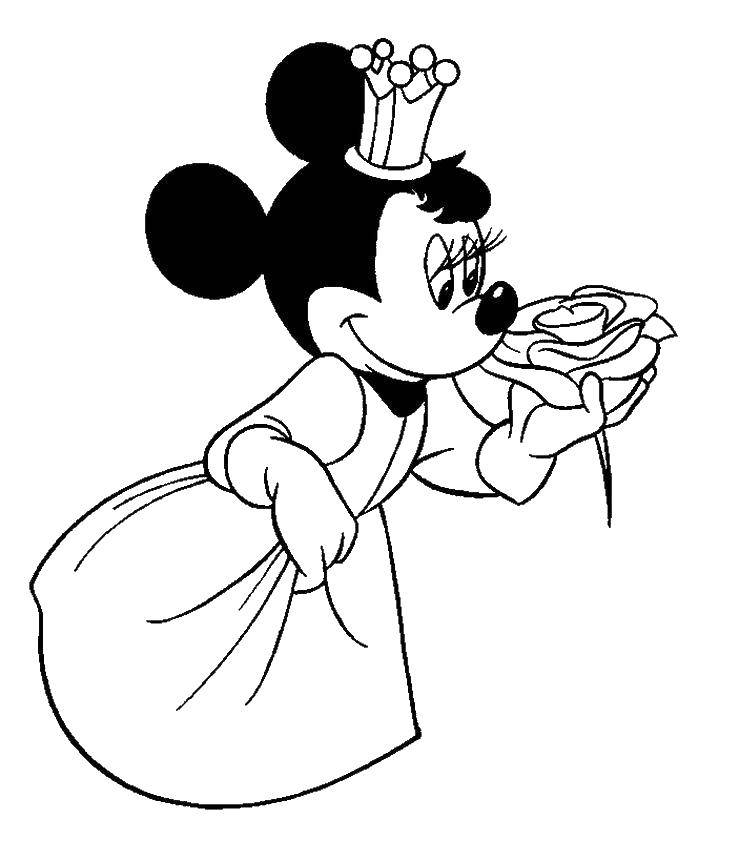 Coloring Mini mouse sniffing flower. Category Mickey mouse. Tags:  Mickey mouse, Mini mouse, rose, cartoons.