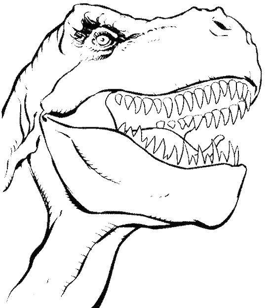 Coloring The face of a dinosaur. Category dinosaur. Tags:  dinosaurs, nature, fall.