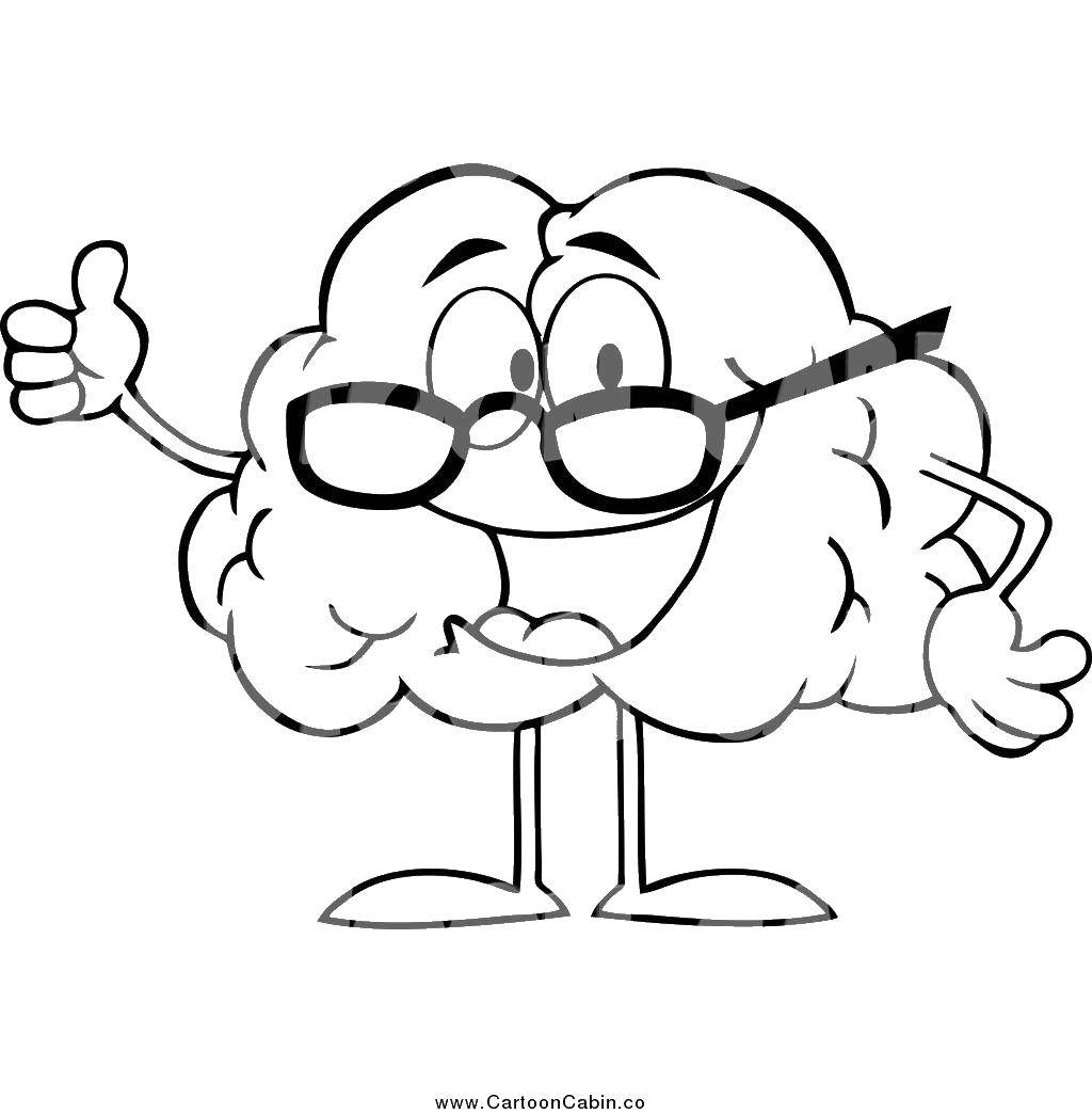 Название: Раскраска Мозг в очках. Категория: человек. Теги: мозг, очки.