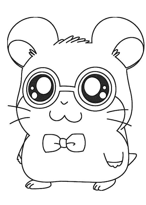 Coloring Mouse with glasses. Category cartoons. Tags:  Cartoon character.