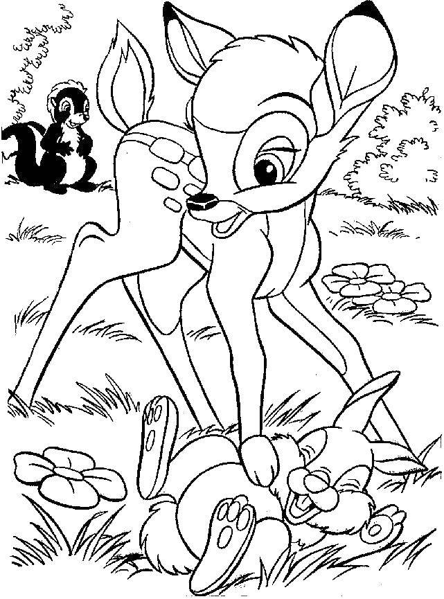 Coloring The deer plays with the rabbit. Category Disney cartoons. Tags:  Disney cartoons, Bambi, deer, rabbit, skunk.