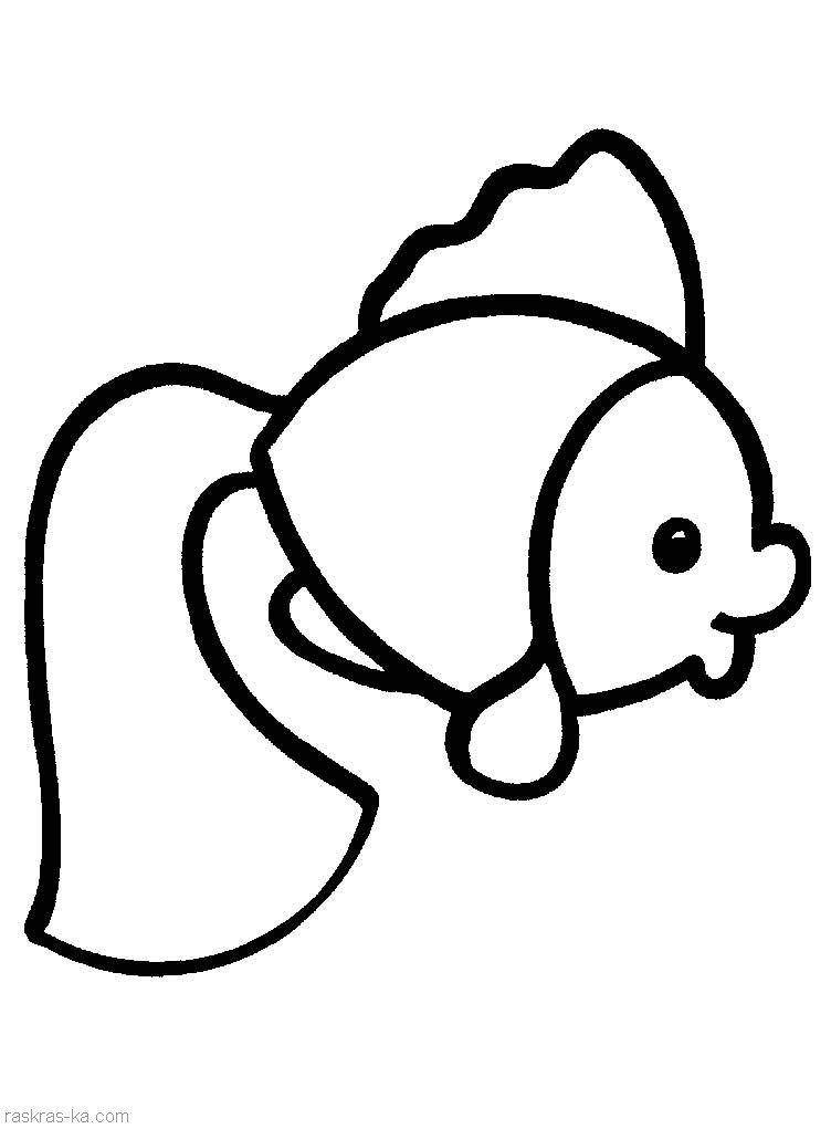 Название: Раскраска Рисунок рыбки. Категория: домашние животные. Теги: рыбка.