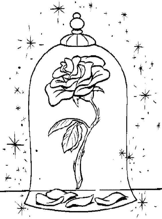 Coloring The rose for Belle. Category Disney coloring pages. Tags:  Beauty and the Beast, Disney.