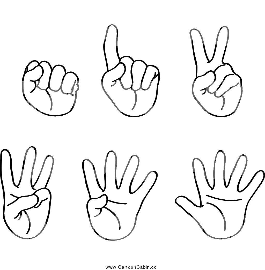 Название: Раскраска Считаем по пальцам. Категория: Учимся считать. Теги: пальцы, руки, счет.