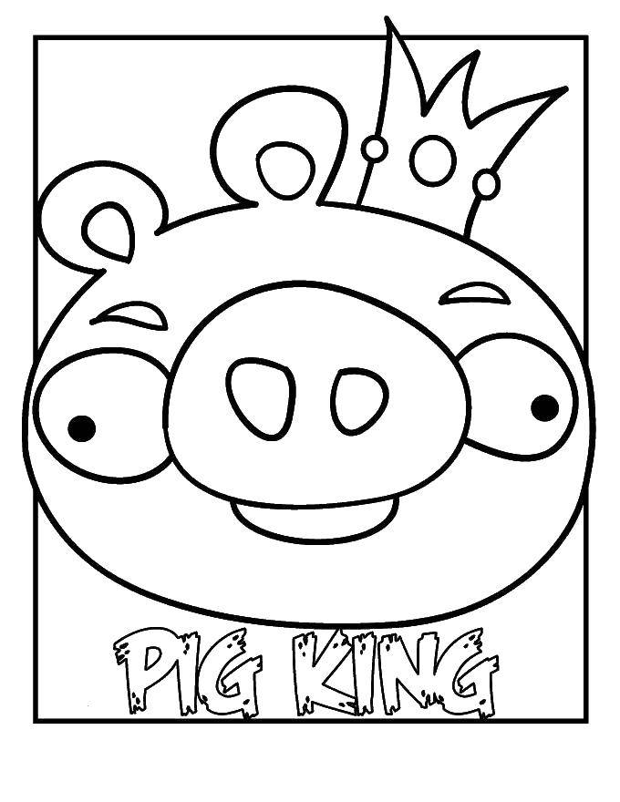 Coloring Pork king. Category angry birds. Tags:  angry birds, game, pigs.