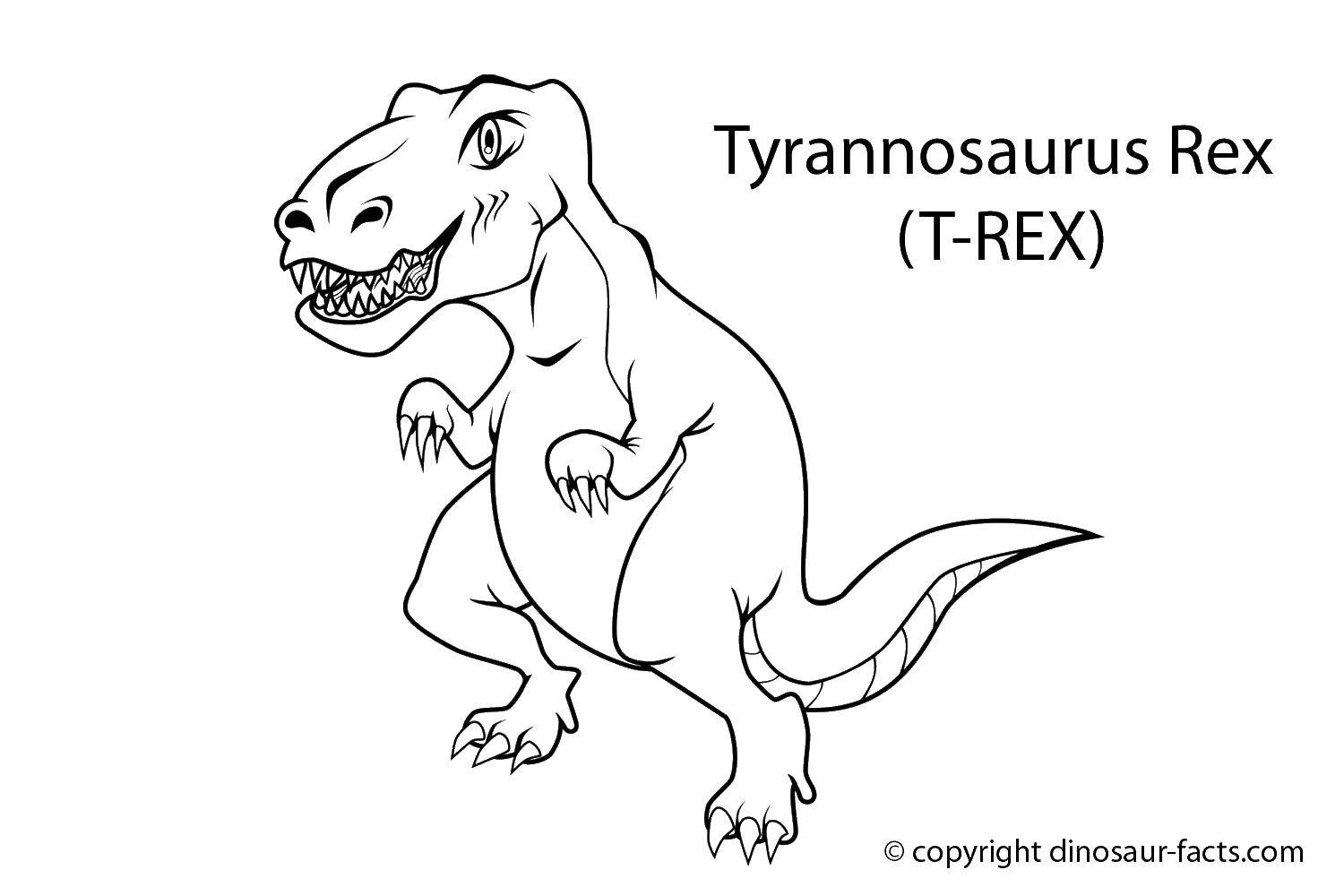 Название: Раскраска Ти рэкс.. Категория: динозавр. Теги: Динозавры, тираннозавр.