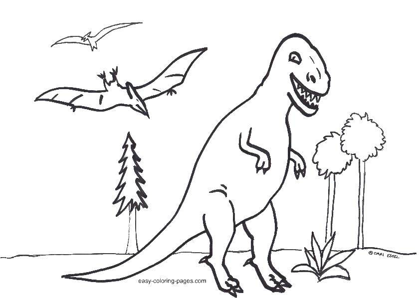 Название: Раскраска Тираннозавр и птеродактиль. Категория: динозавр. Теги: Динозавры.