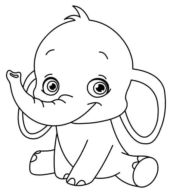 Coloring Smiling baby elephant. Category Animals. Tags:  animals, baby elephant, elephant.