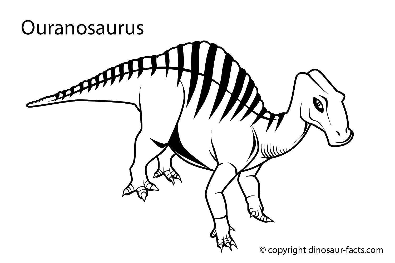 Название: Раскраска Уранозавр. Категория: динозавр. Теги: динозавры, уранозавр.