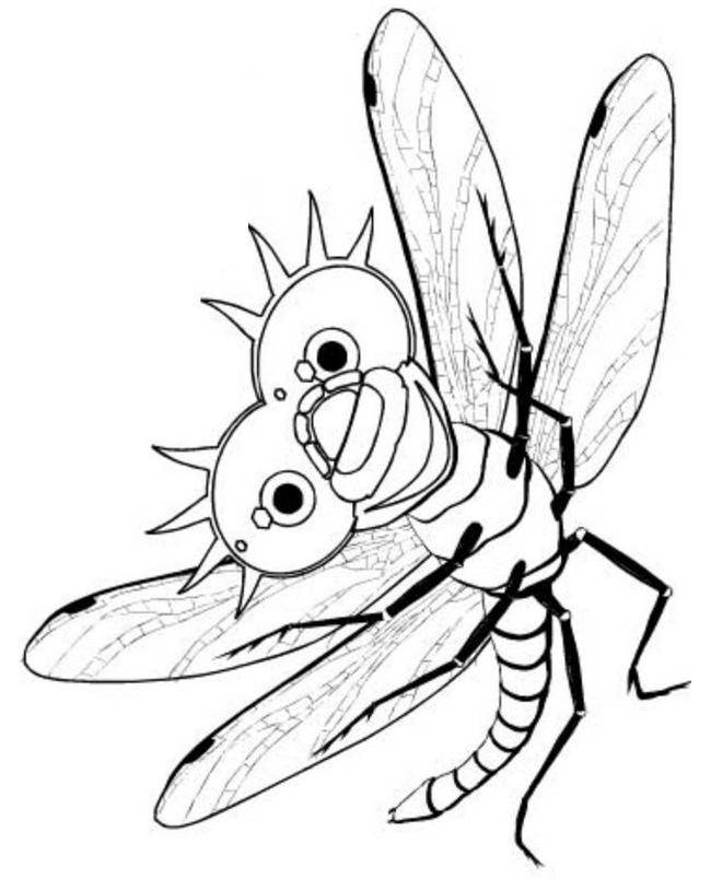 Название: Раскраска Веселая стрекоза. Категория: Насекомые. Теги: насекомые, трекоза.