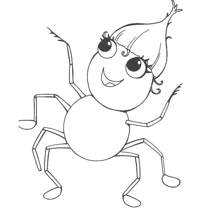 Название: Раскраска Веселый паучок. Категория: Контур паук. Теги: паучок, пауки.