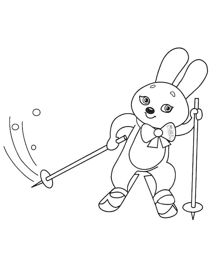 Coloring Bunny skier. Category skiing. Tags:  Sports, skiing.