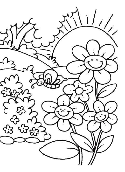 Розмальовки  Метелик на лузі. Завантажити розмальовку природа, сад, рослини, метелики.  Роздрукувати ,Природа,