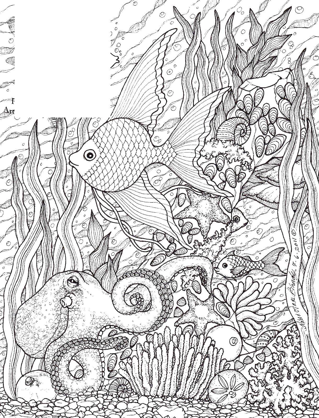 Розмальовки  Восьминіг ловить рибку. Завантажити розмальовку Морський світ, восьминіг.  Роздрукувати ,морське,