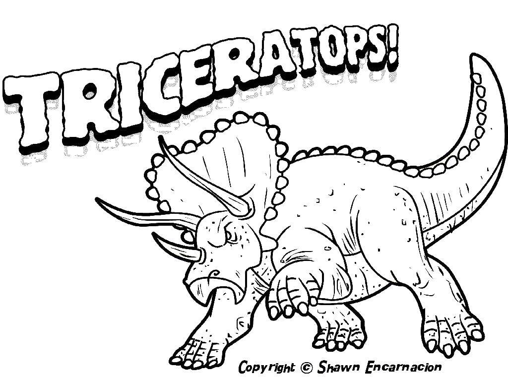 Розмальовки  Трицератопс!. Завантажити розмальовку динозавр, трицератопс.  Роздрукувати ,динозавр,