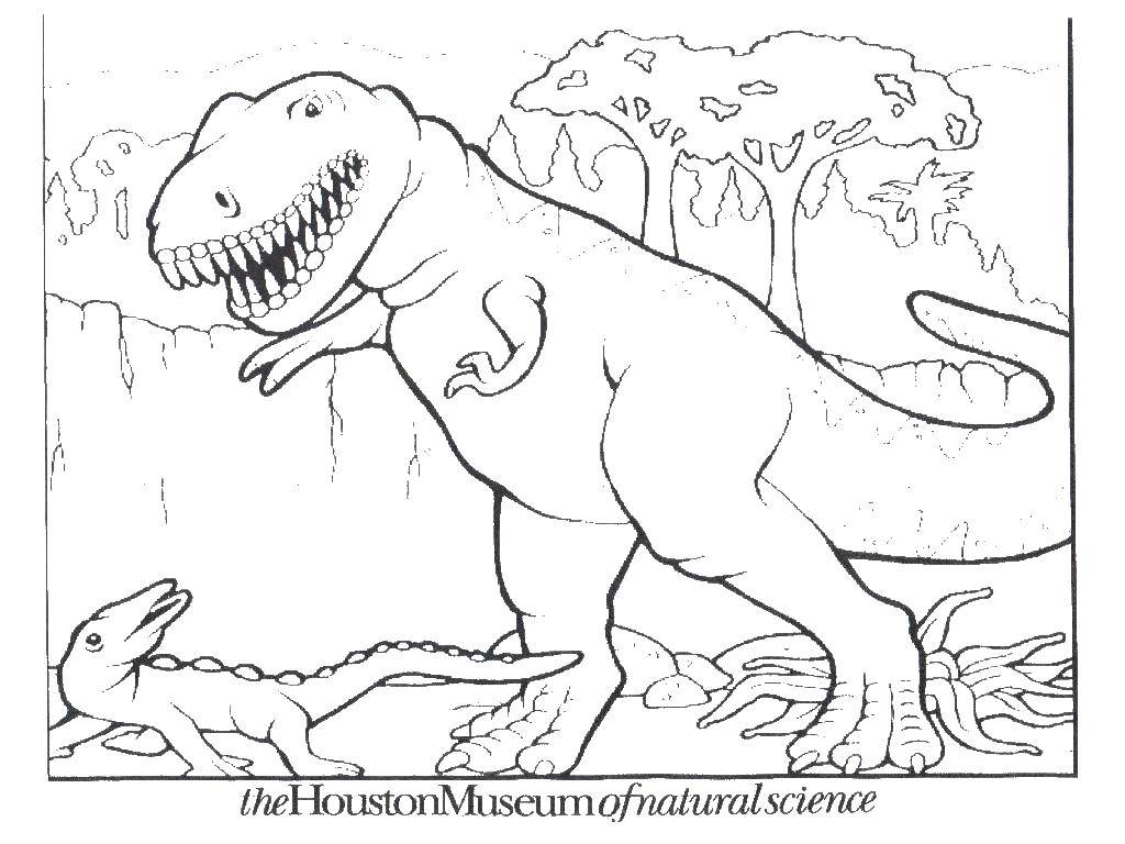 Название: Раскраска Большой и маленький динозавры. Категория: динозавр. Теги: динозавры, природа.