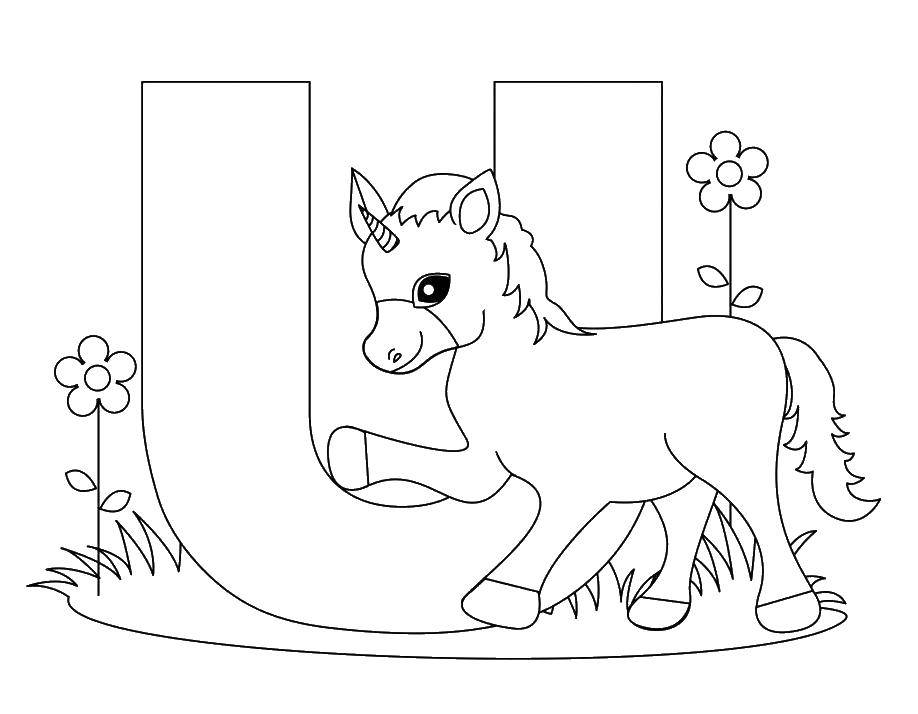 Название: Раскраска Буква u unicorn единорог. Категория: английские слова. Теги: английский язык, буквы, единорог.
