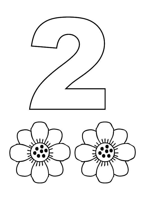 Coloring Two rosebud. Category Numbers. Tags:  figures, 2, two.
