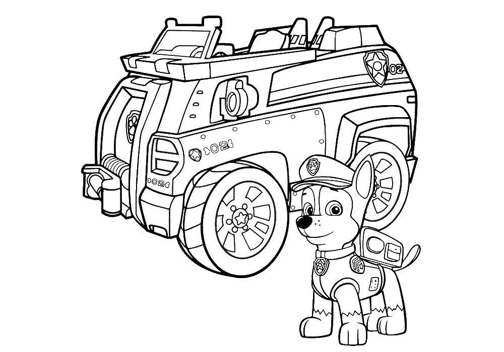 Coloring Racer the car. Category paw patrol. Tags:  paw patrol, cartoons, racer.