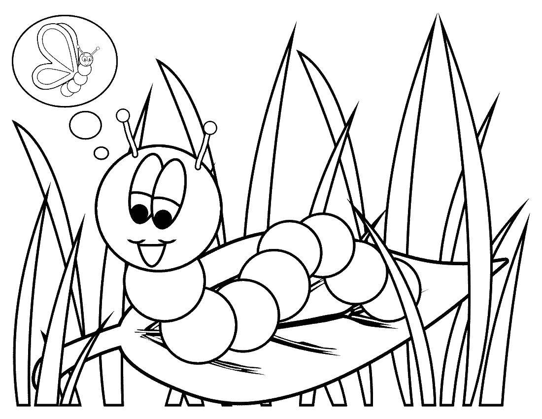 Coloring A caterpillar wants to become a wonderful butterfly. Category coloring. Tags:  Insects, caterpillar.