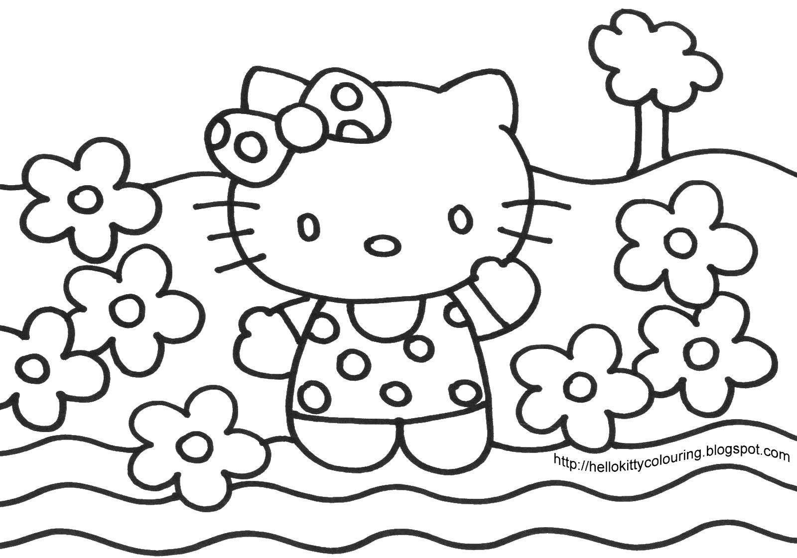 Coloring Hello kitty on a flower meadow. Category Hello Kitty. Tags:  Hello kitty, flower meadow.