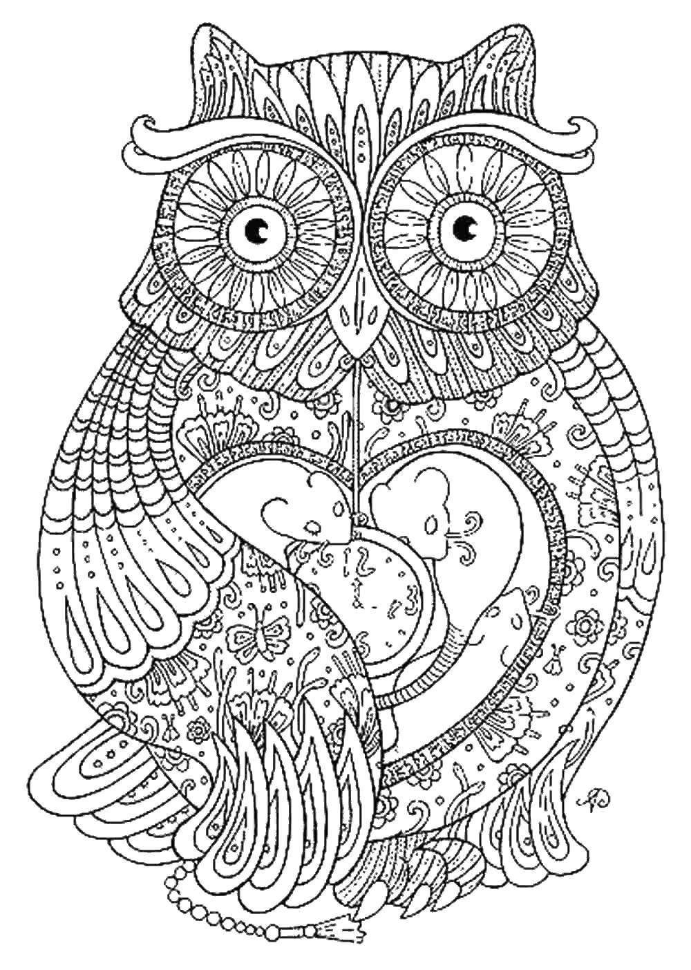 Coloring Beautiful owl in the patterns.. Category coloring antistress. Tags:  Bathroom with shower.