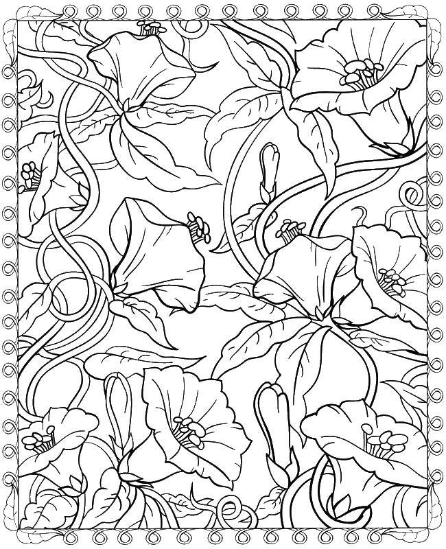 Coloring Beautiful flowers. Category Patterns with flowers. Tags:  the patterns with colors, flowers, stems.